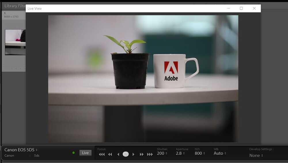 Adobe Lightroom Classic - Image 4