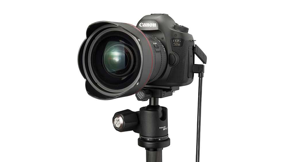 TetherPro USB 3.0 to Micro-B Right Angle - Image 12