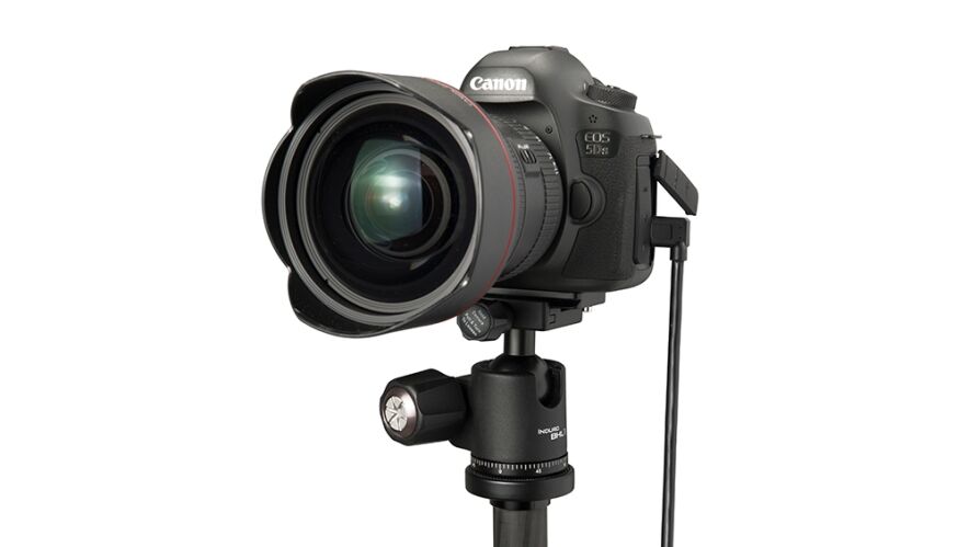 TetherPro USB 3.0 to Micro-B Right Angle - Image 12
