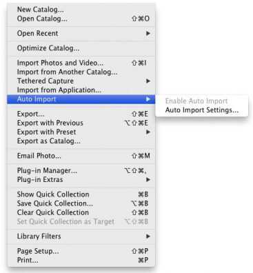 What To Do When Your Camera Doesn’t Support Tethering to Lightroom