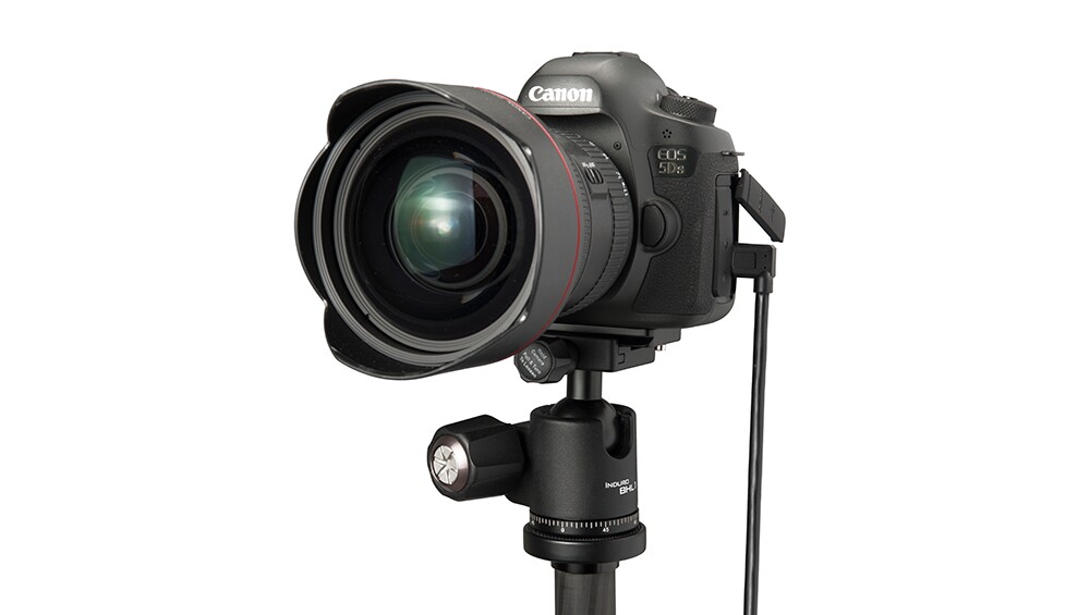 TetherPro USB 3.0 to Micro-B Right Angle - Image 12