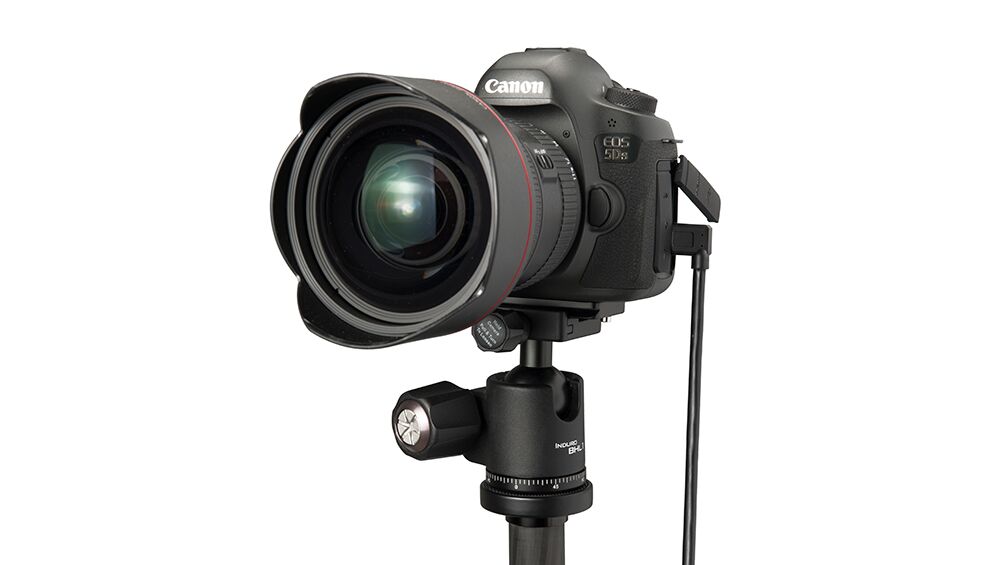 TetherPro USB 3.0 to Micro-B Right Angle - Image 12